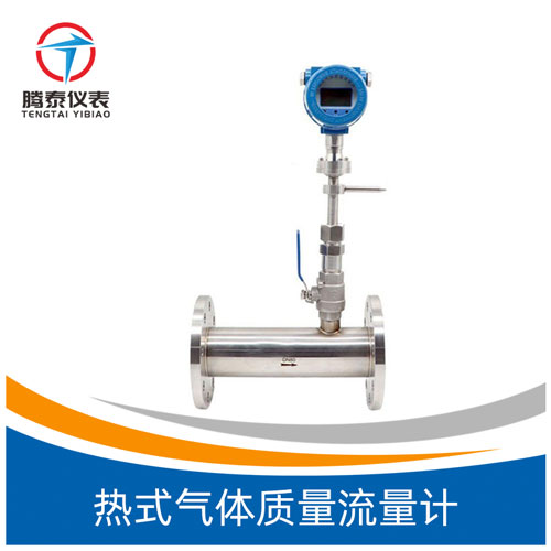 <b>熱式氣體質量流量計</b> <b>熱式氣體質量流量計</b>