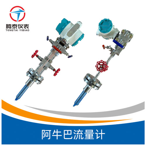 <b>阿牛巴流量計(jì)</b>