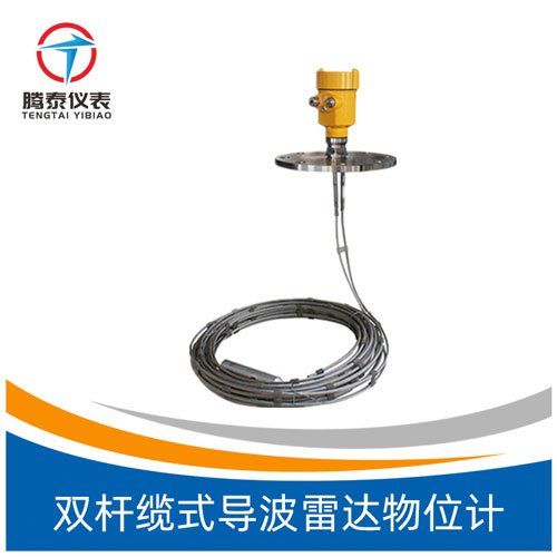 雙桿纜式導(dǎo)波雷達(dá)物位計(jì) 雙桿纜式導(dǎo)波雷達(dá)物位計(jì)