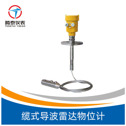 纜式導(dǎo)波雷達(dá)物位計(jì) 纜式導(dǎo)波雷達(dá)物位計(jì)