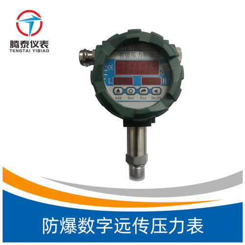 <b>防爆數(shù)字遠(yuǎn)傳壓力表</b> <b>防爆數(shù)字遠(yuǎn)傳壓力表</b>
