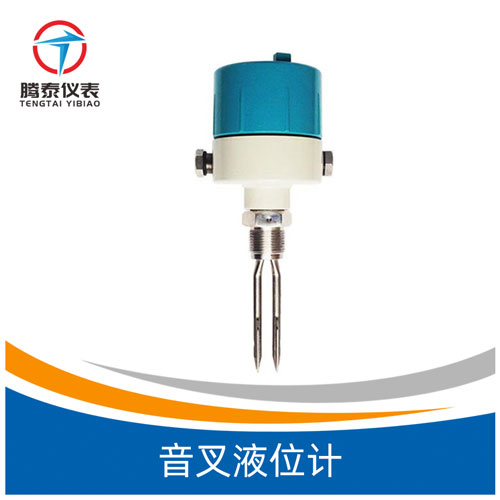<b>音叉液位計(jì)</b> <b>音叉液位計(jì)</b>