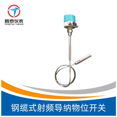 鋼纜式射頻導(dǎo)納物位開(kāi)關(guān) 鋼纜式射頻導(dǎo)納物位開(kāi)關(guān)