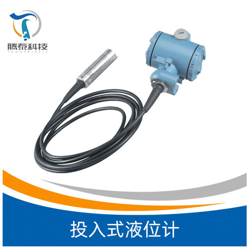 <b>投入式液位計</b> <b>投入式液位計</b>