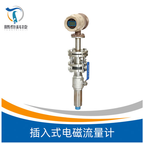 <b>插入式電磁流量計(jì)</b> <b>插入式電磁流量計(jì)</b>