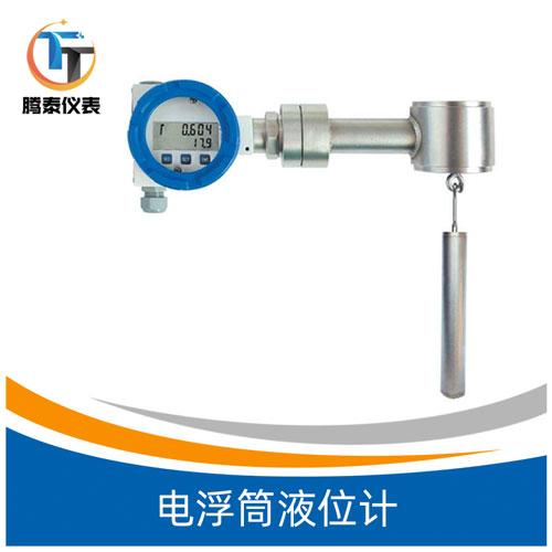 <b>電浮筒液位計(jì)</b> <b>電浮筒液位計(jì)</b>